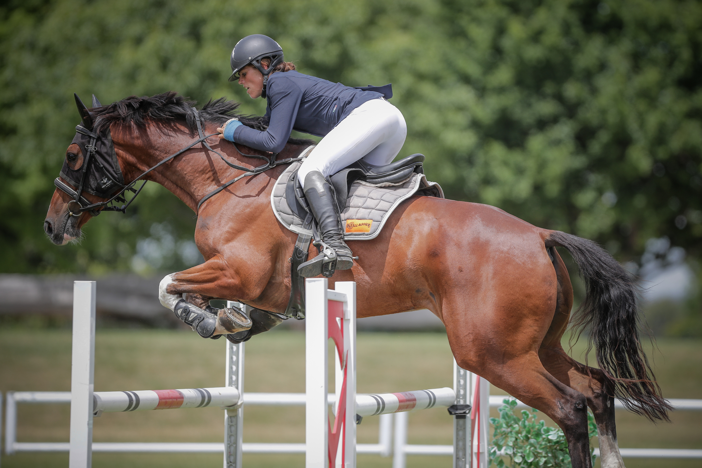 Equestrian & Showjumping Vicki Wilson
